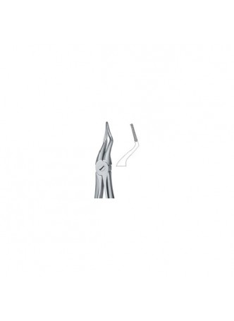 Tooth Ext Forceps